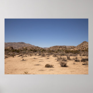 Desertscape Poster