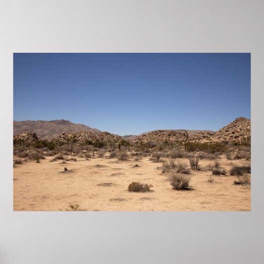 Desertscape Poster (Vorne)