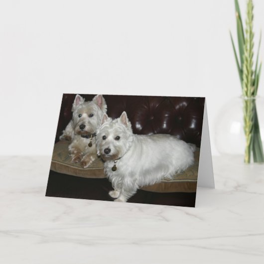 Desi & Lucy Karte (Vorderseite)