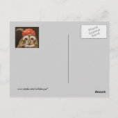 Desi the owlet postcard postkarte (Rückseite)