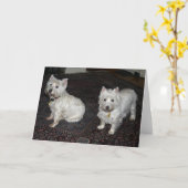 Desi u. Lucy Karte (Gelbe Blume)