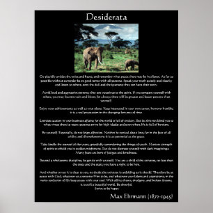 Desiderata a herde Elefanten in africa Posters Poster