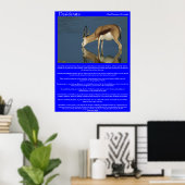 Desiderata Antelope Drinks Posters Poster (Heimbüro)