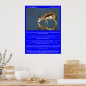 Desiderata Antelope Drinks Posters Poster (Küche)