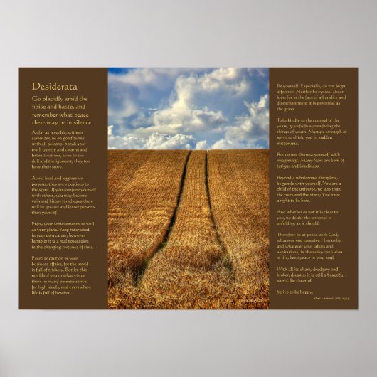 Desiderata - Been and Gone Poster (Vorne)