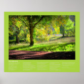 Desiderata - Beginn eines kornischen Herbstes Poster (Vorne)