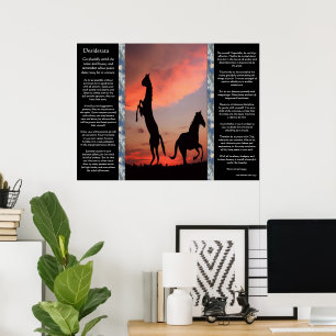 Desiderata Black Stallion Sunset Poster