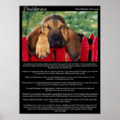 Desiderata Bloodhound Posters Poster (Vorne)