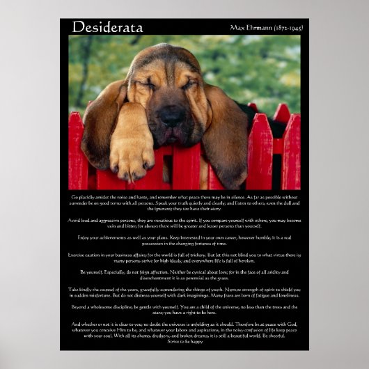 Desiderata Bloodhound Posters Poster (Vorne)