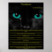 Desiderata Cat Eyes Posters Poster (Vorne)