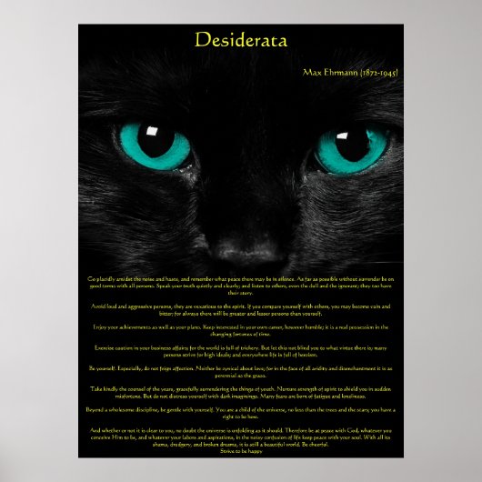 Desiderata Cat Eyes Posters Poster (Vorne)