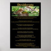 Desiderata Cat Fight Posters 1a Poster (Vorne)