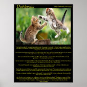Desiderata Cat Fight Posters Poster (Vorne)