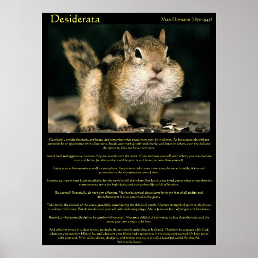 Desiderata Chipmunk Posters Poster (Vorne)