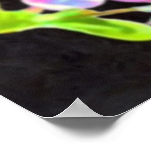 DESIDERATA Cosmic Blossoms Poster (Ecke)