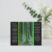 DESIDERATA Dark Mossy Forest Postcard Postkarte (Stehend Vorderseite)
