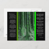 DESIDERATA Dark Mossy Forest Postcard Postkarte (Vorne/Hinten)