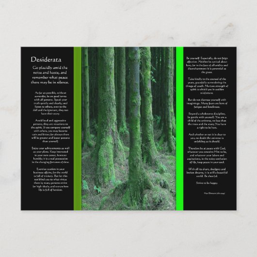 DESIDERATA Dark Mossy Forest Postcard Postkarte (Vorderseite)
