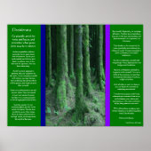 DESIDERATA Dark Mossy Forest Posters Poster (Vorne)