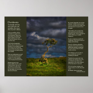 Desiderata - Der letzte Überlebende Poster