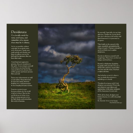 Desiderata - Der letzte Überlebende Poster (Vorne)