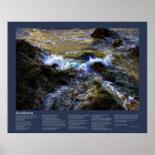 Desiderata - Die Eager-Flut Poster (Vorne)