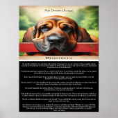 Desiderata: Die Sprache der Erholung Poster (Vorne)