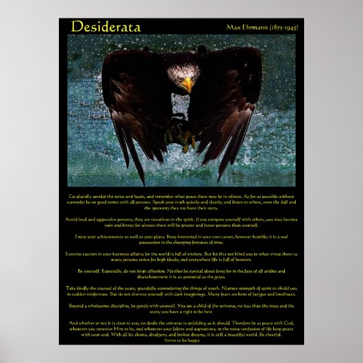 Desiderata Eagle over Water Posters Poster (Vorne)