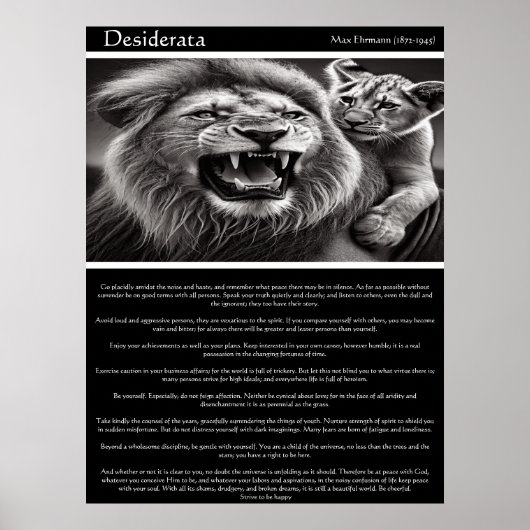 Desiderata: Echoes of Kin Poster (Vorne)