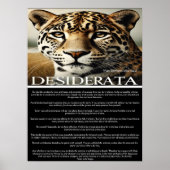Desiderata: Ein Moment der Reflektion Poster (Vorne)