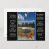 DESIDERATA Emerald Pool Postkarte (Vorne/Hinten)