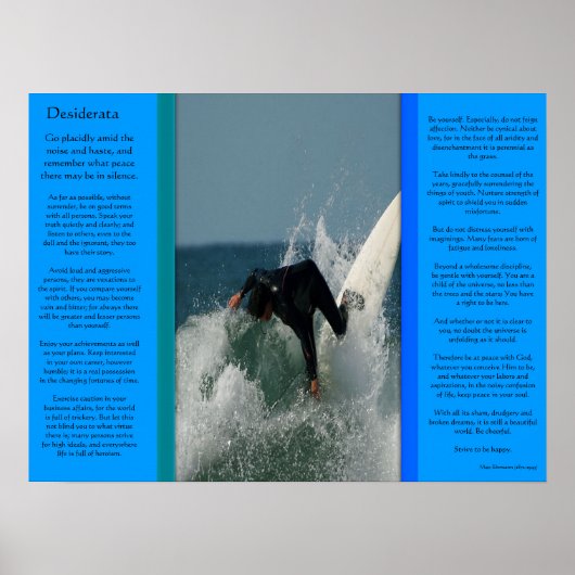 DESIDERATA Face Dive Poster (Vorne)