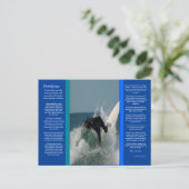 DESIDERATA Face Dive Postkarte (Stehend Vorderseite)