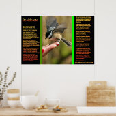 DESIDERATA Flying Sparrow Posters Poster (Küche)