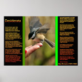 DESIDERATA Flying Sparrow Posters Poster (Vorne)