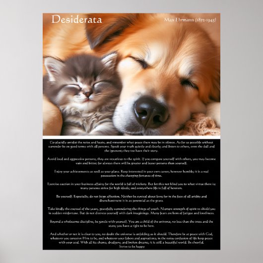 Desiderata Friedliche Gesellschaft: Kitten und Hun Poster (Vorne)