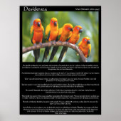 Desiderata fünf orange und grüne Kanarienvögel Poster (Vorne)