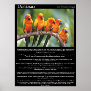Desiderata fünf orange und grüne Kanarienvögel Poster