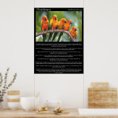 Desiderata fünf orange und grüne Kanarienvögel Poster (Küche)