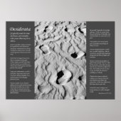 Desiderata - Fußabdrücke im Sand Poster (Vorne)