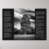 Desiderata Gedicht - Baum und Pavillons Poster (Vorne)