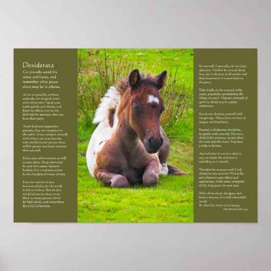 Desiderata Gedicht - Dartmoor Pony Foal Poster (Vorne)