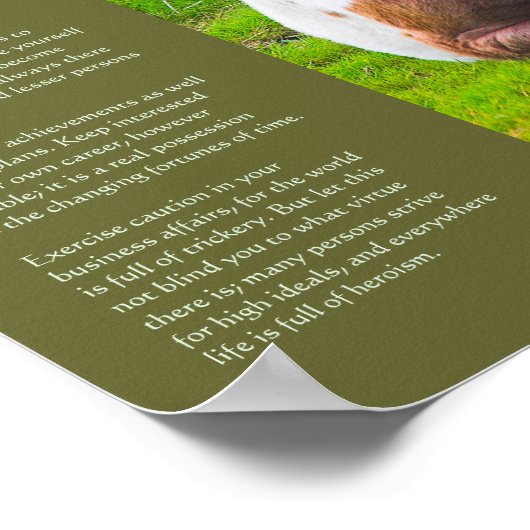 Desiderata Gedicht - Dartmoor Pony Foal Poster (Ecke)