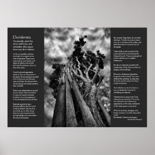 Desiderata Gedicht - Den Himmel rufen Poster