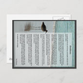 Desiderata Gedicht - Seagull am Strand Postkarte (Vorne/Hinten)