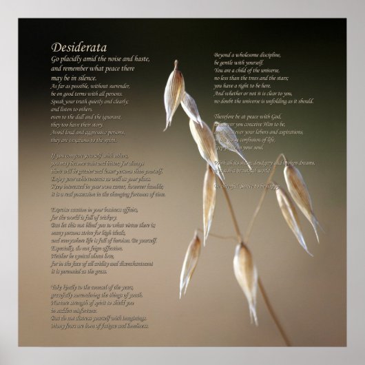 Desiderata Gedicht über die Früchte des wilden Haf Poster (Vorne)