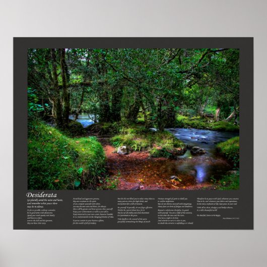 Desiderata Geem - leise fließt der Fluss Poster (Vorne)