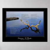 Desiderata Geem - Stil der Lärm- und Stöckelgaleri Poster (Vorne)