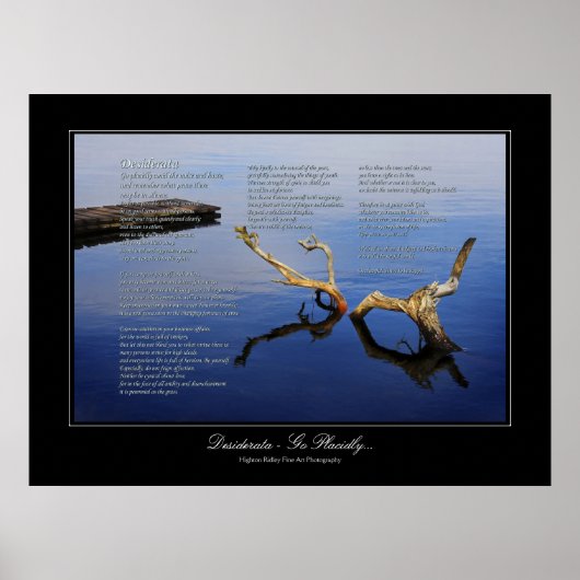 Desiderata Geem - Stil der Lärm- und Stöckelgaleri Poster (Vorne)