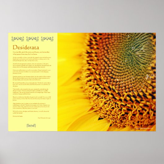 Desiderata - Goldene Sonnenblumensaat Poster (Vorne)